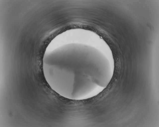 X0000112960822200910081044