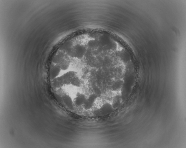 X0000112960823200910081044