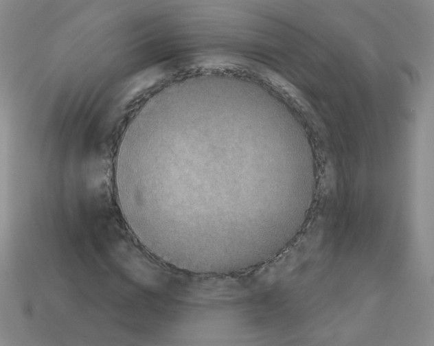 X0000112960824200910081044