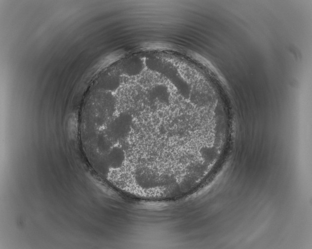 X0000112960825200910081044