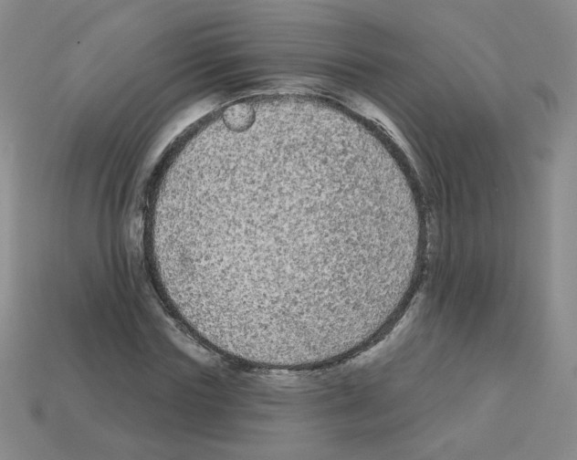 X0000112960827200910081044