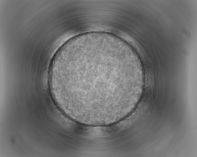 X0000112960828200910081044