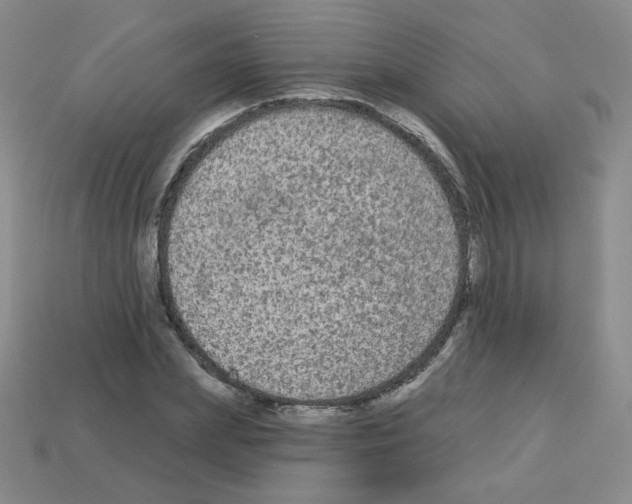 X0000112960831200910081044