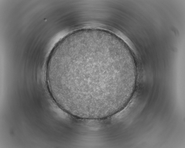 X0000112960832200910081044