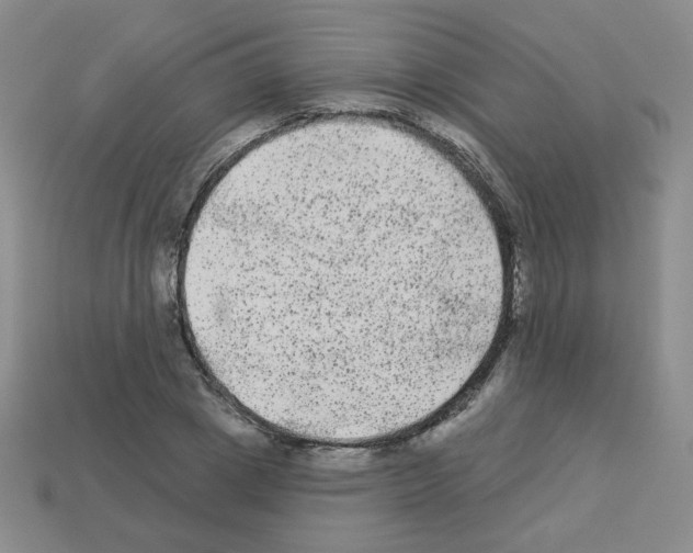 X0000112960833200910081044