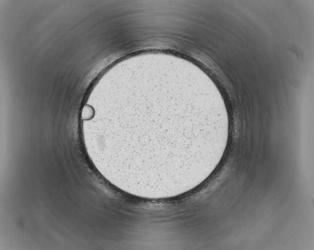 X0000112960834200910081044