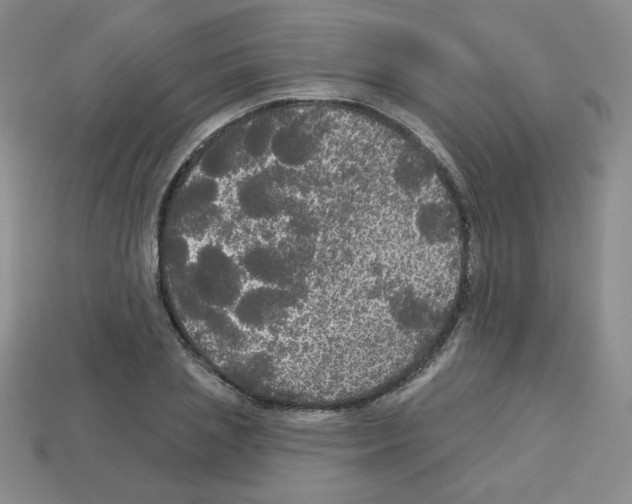 X0000112960837200910081044