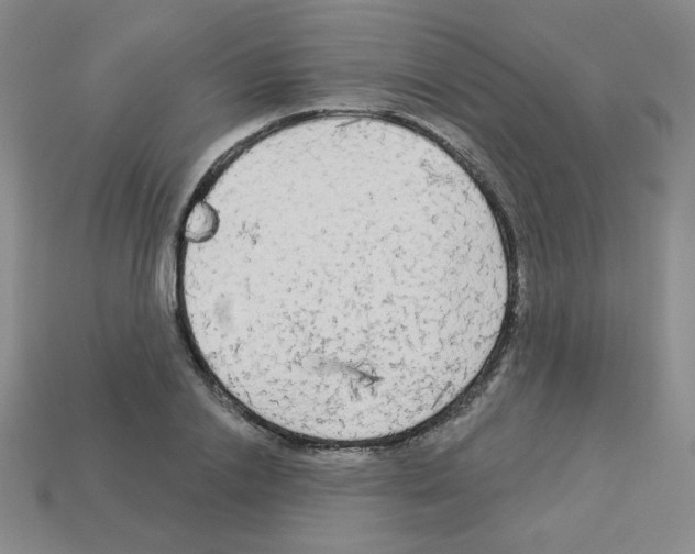 X0000112960838200910081044