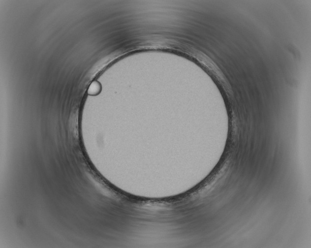 X0000112960842200910081044