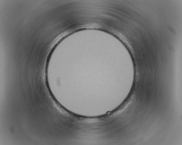 X0000112960845200910081044