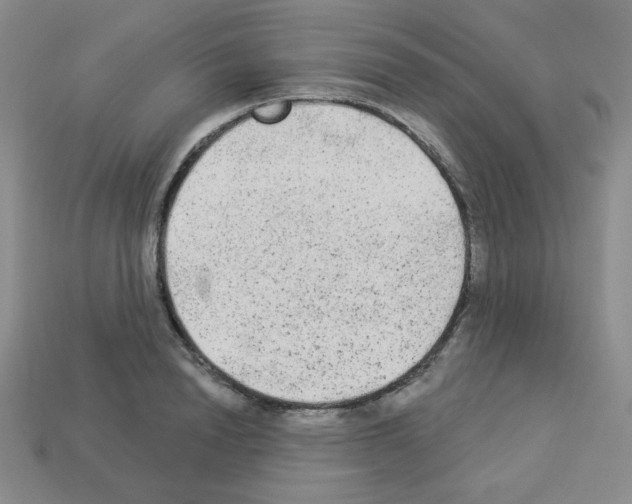 X0000112960846200910081044