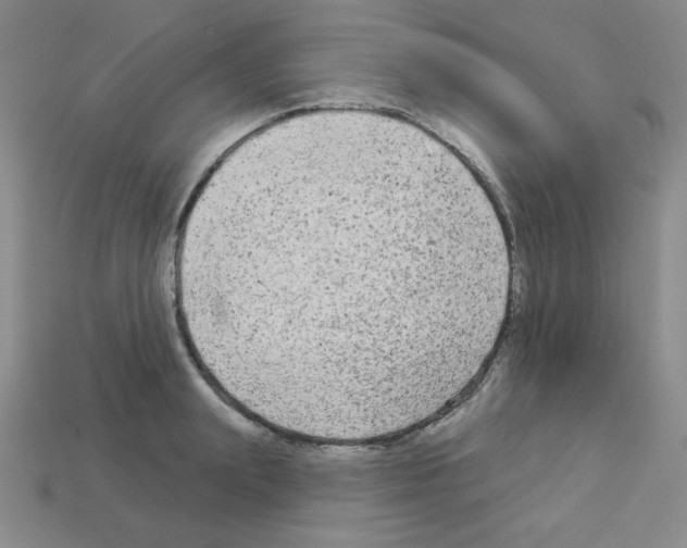 X0000112960847200910081044