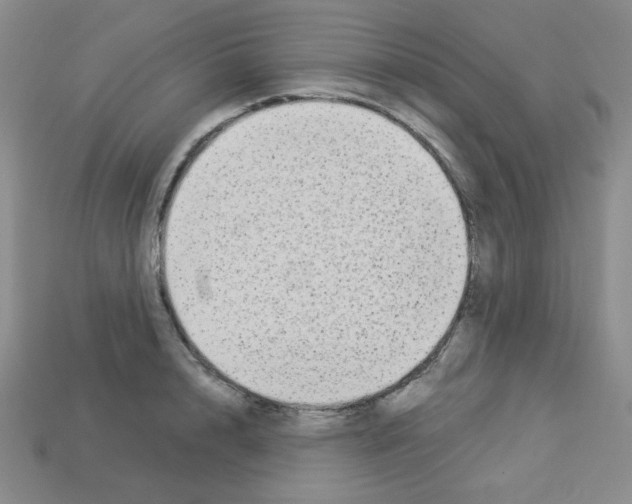 X0000112960848200910081044