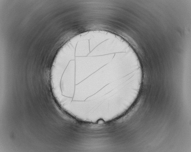 X0000112960849200910081044