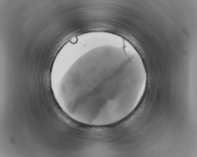 X0000112960850200910081044