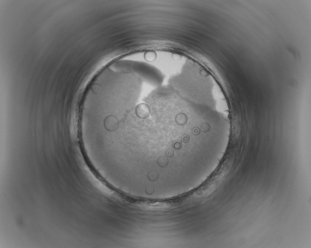 X0000112960851200910081044