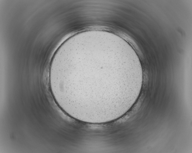 X0000112960852200910081044