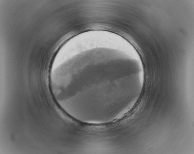 X0000112960853200910081044