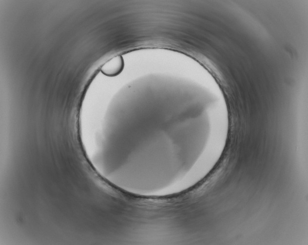 X0000112960854200910081044