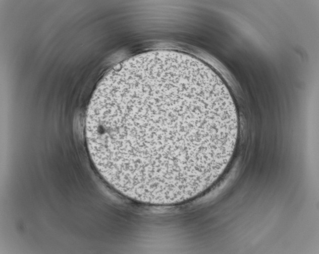 X0000112960857200910081044