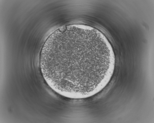 X0000112960858200910081044