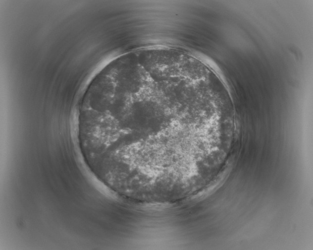 X0000112960859200910081044