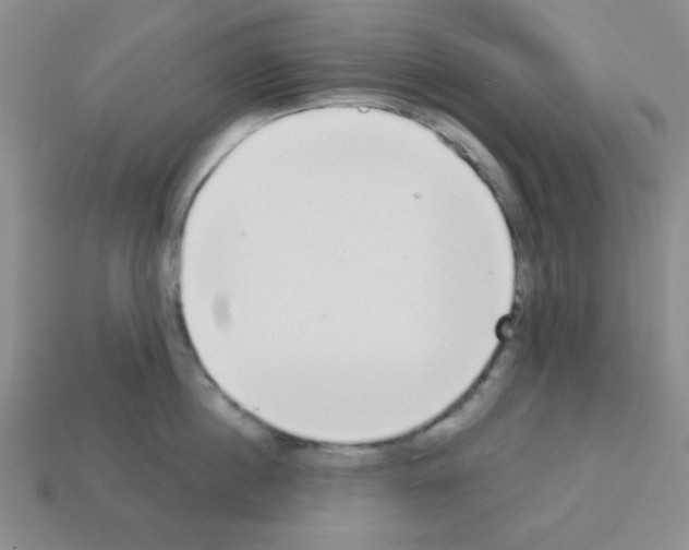 X0000112960860200910081044