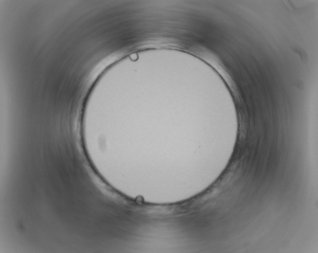 X0000112960861200910081044