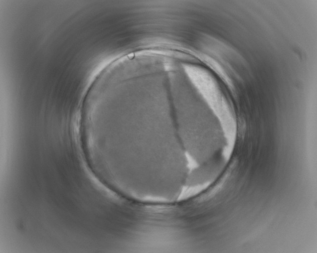 X0000112960863200910081044