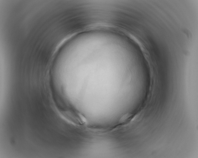 X0000112960864200910081044