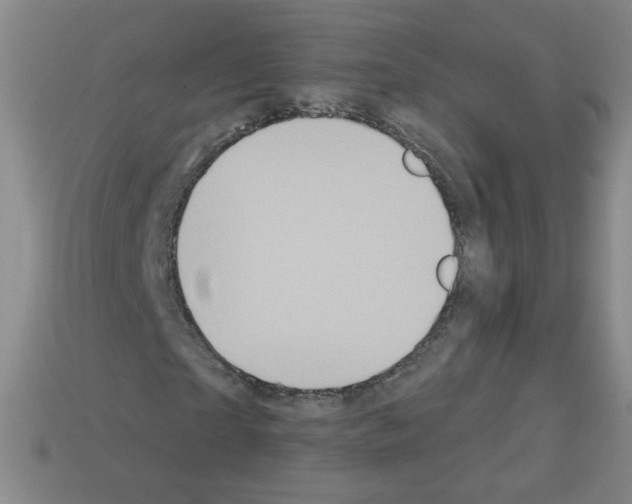 X0000112960865200910081044