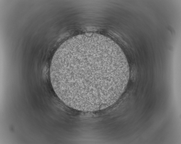 X0000112960866200910081044