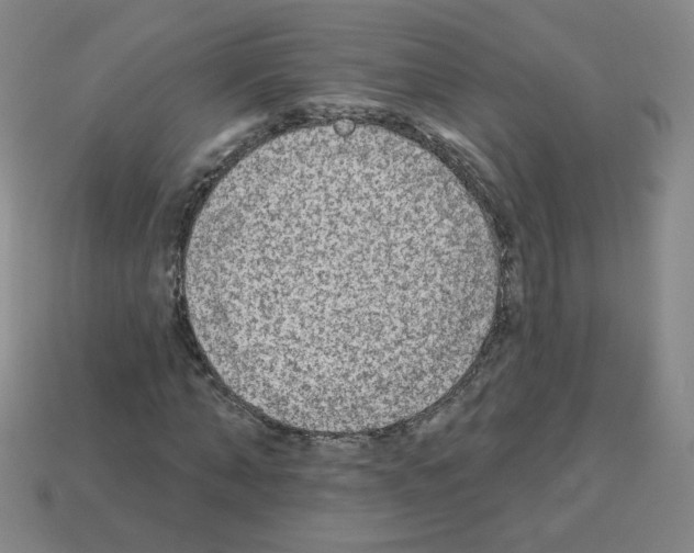 X0000112960870200910081044