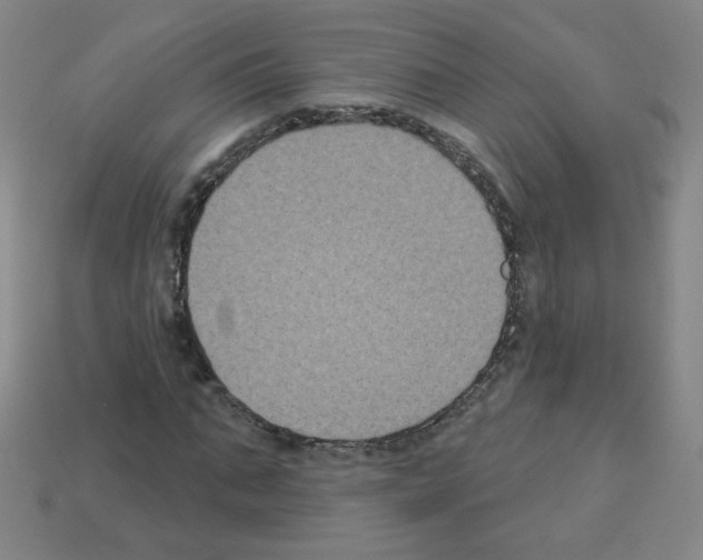 X0000112960871200910081044