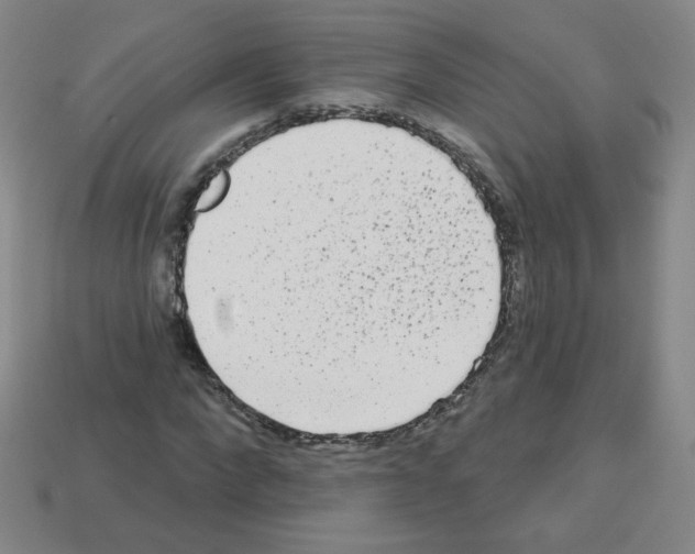 X0000112960872200910081043