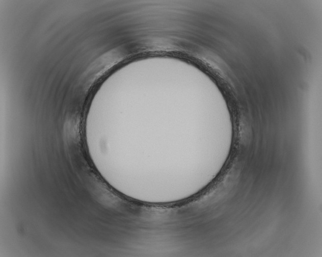 X0000112960873200910081043