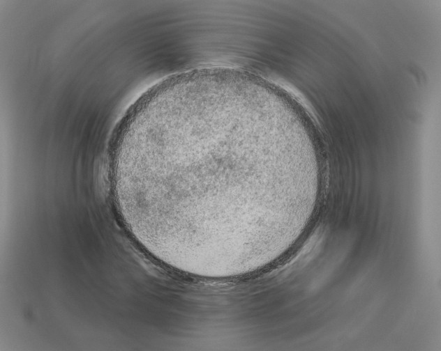 X0000112960878200910081043