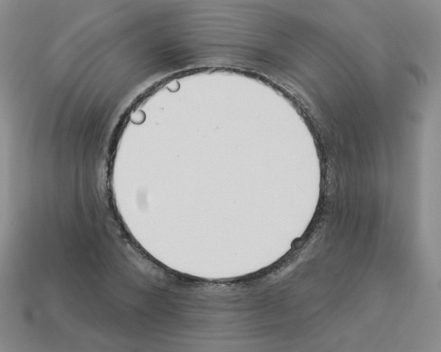 X0000112960880200910081043