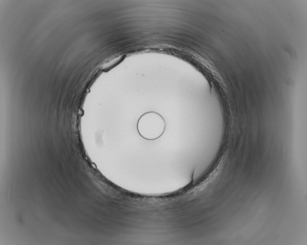 X0000112960881200910081043