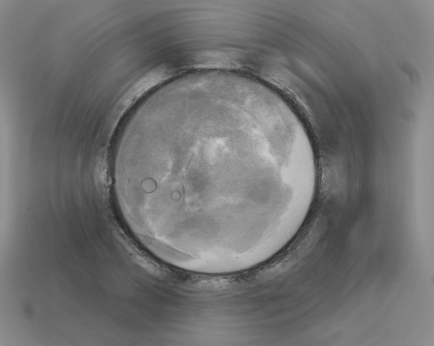 X0000112960882200910081043