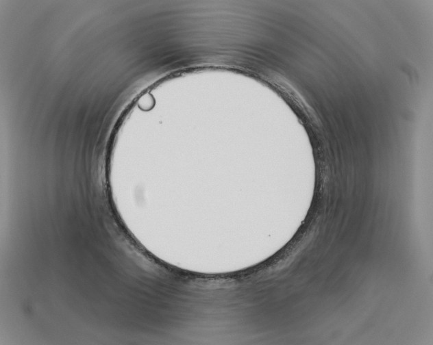 X0000112960884200910081043