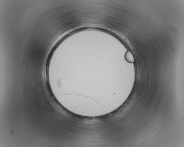 X0000112960887200910081043