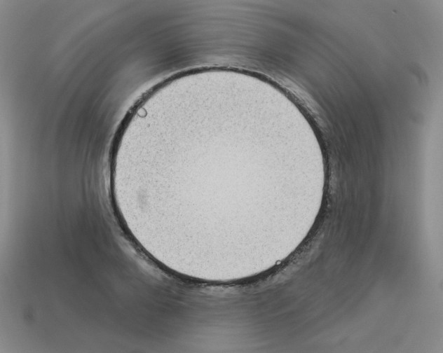 X0000112960888200910081043