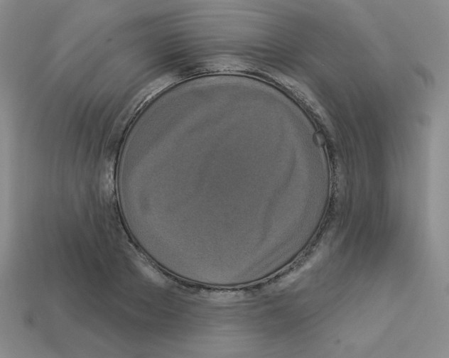 X0000112960889200910081043