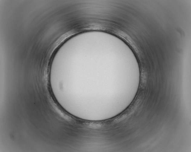 X0000112960890200910081043