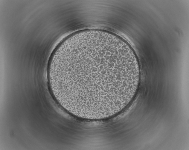 X0000112960891200910081043