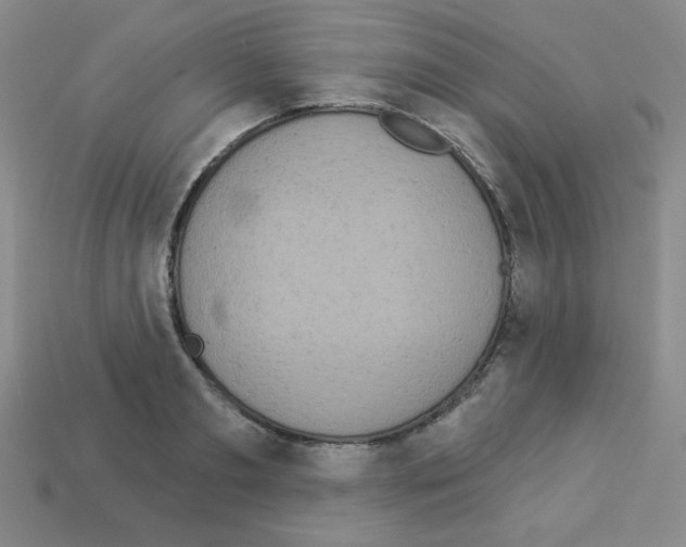 X0000112960893200910081043