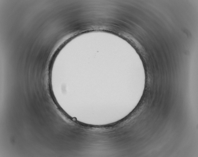 X0000112960894200910081043