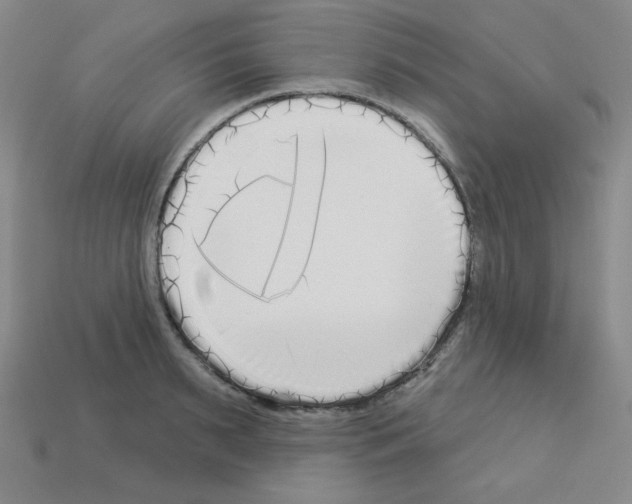 X0000112960895200910081043