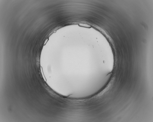 X0000112960897200910081043